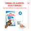 Royal Canin Starter Maxi MothereBaby ração para cães, , large Indicador imagem número 5