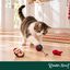 Wonder Christmas Conjunto Ouri&ccedil;os Brinquedo para gatos, , large Indicador imagem n&uacute;mero 2
