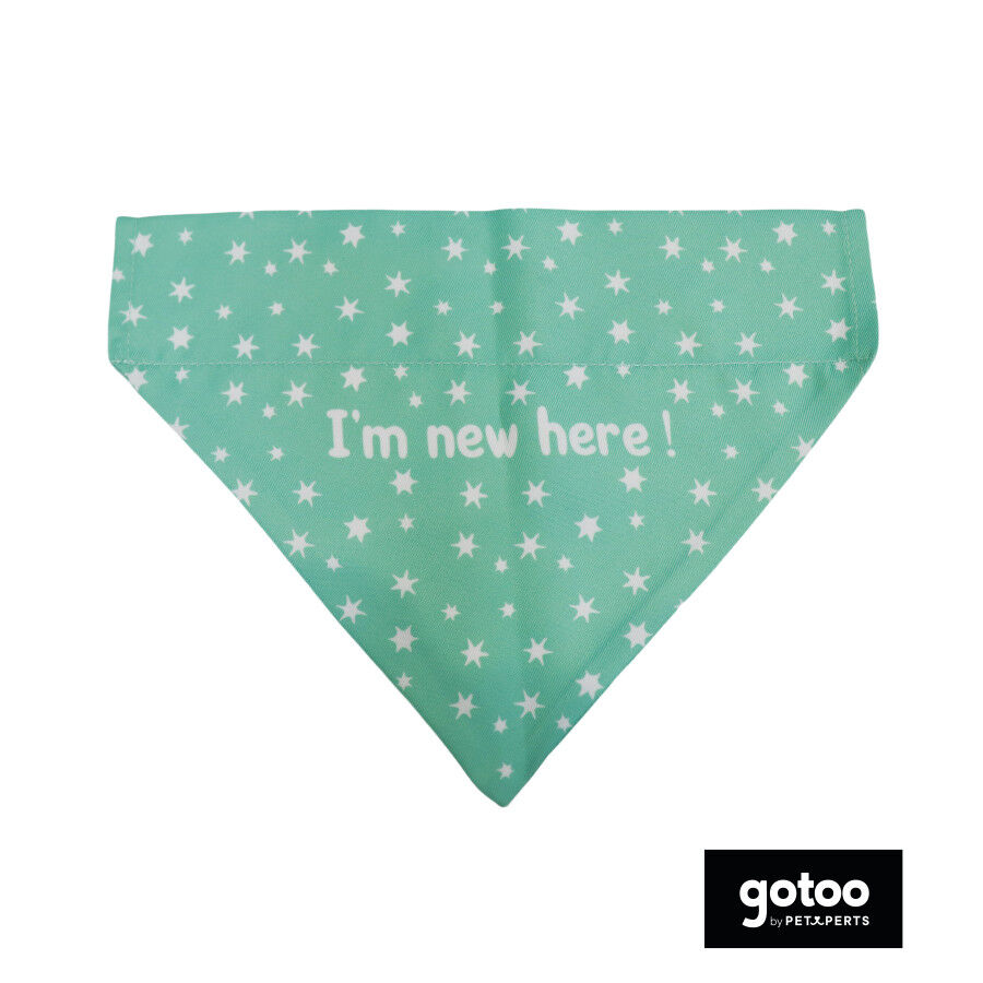 Gotoo Bandana estampada verde para c&atilde;es, , large Imagem n&uacute;mero 2