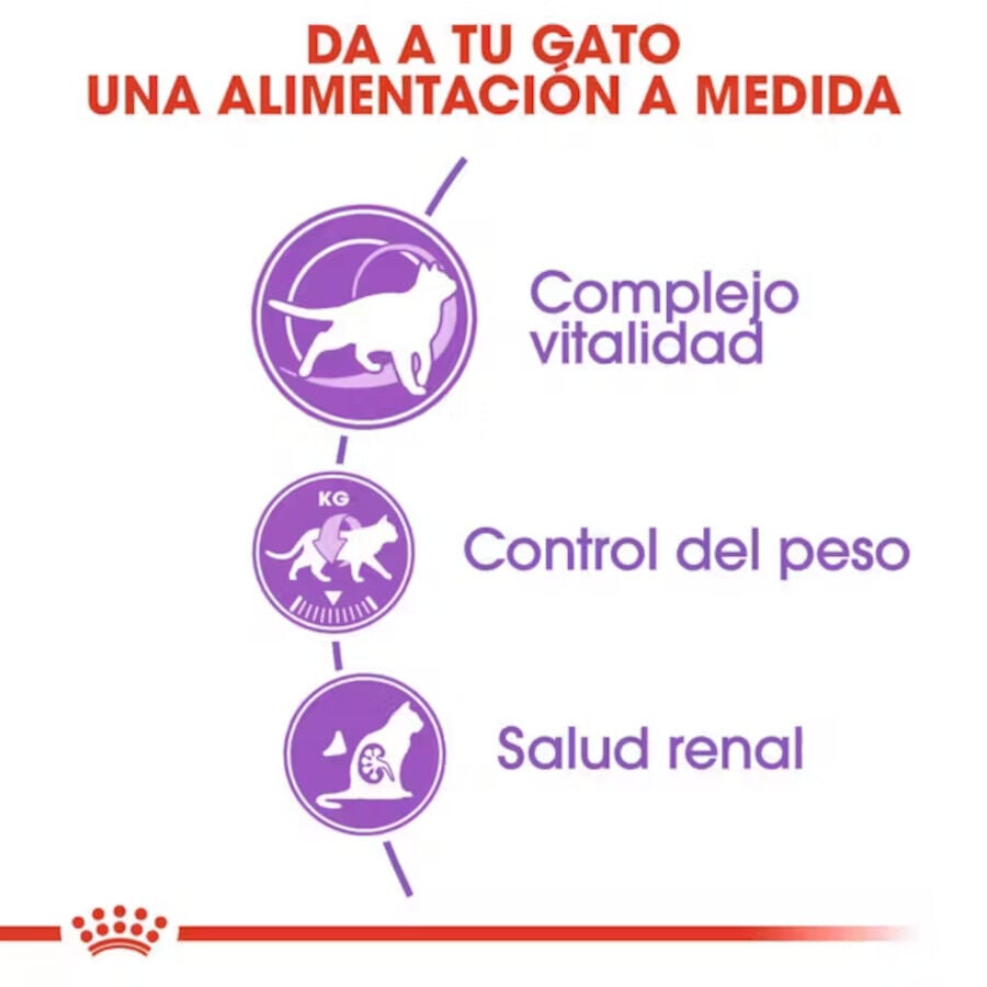 10 kg Royal Canin Sterilised 7+ Ra&ccedil;&atilde;o para gatos, , large Imagem n&uacute;mero 5