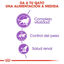 3.5 kg Royal Canin Adult 7+ Regular Sterilised ração para gatos, , large Indicador imagem número 5