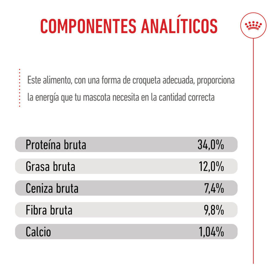 3.5 kg Royal Canin Kitten Sterilised ra&ccedil;&atilde;o para gatos , , large Imagem n&uacute;mero 10