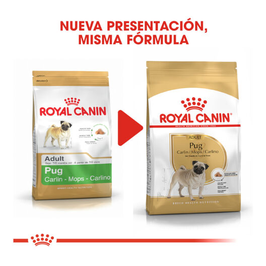 Royal Canin Adult Pug ração para cães, , large image number null