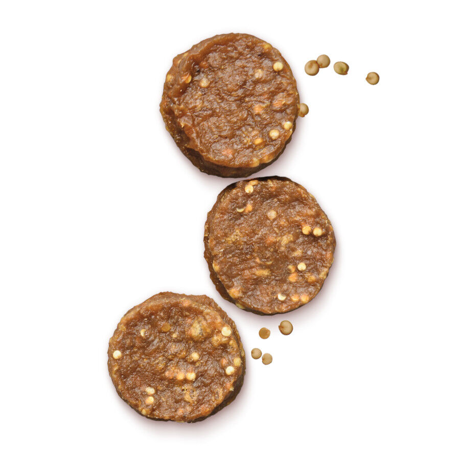 70 g Lily's Kitchen Biscoitos frango para c&atilde;es, , large Imagem n&uacute;mero 4