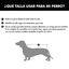 Outech Apolo Capa de Chuva Impermeável preta para cães, , large Indicador imagem número 3