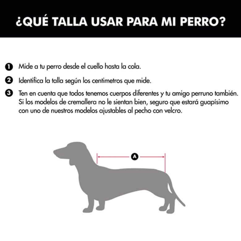 Outech Capa de Chuva Impermeável Com Estrelas para cães,  Imagem número 5 Outech Capa de Chuva Impermeável Com Estrelas para cães, , large Imagem número 5