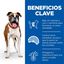 14 kg Hill's Science Plan Adult Medium Frango ração para cães, , large Indicador imagem número 3