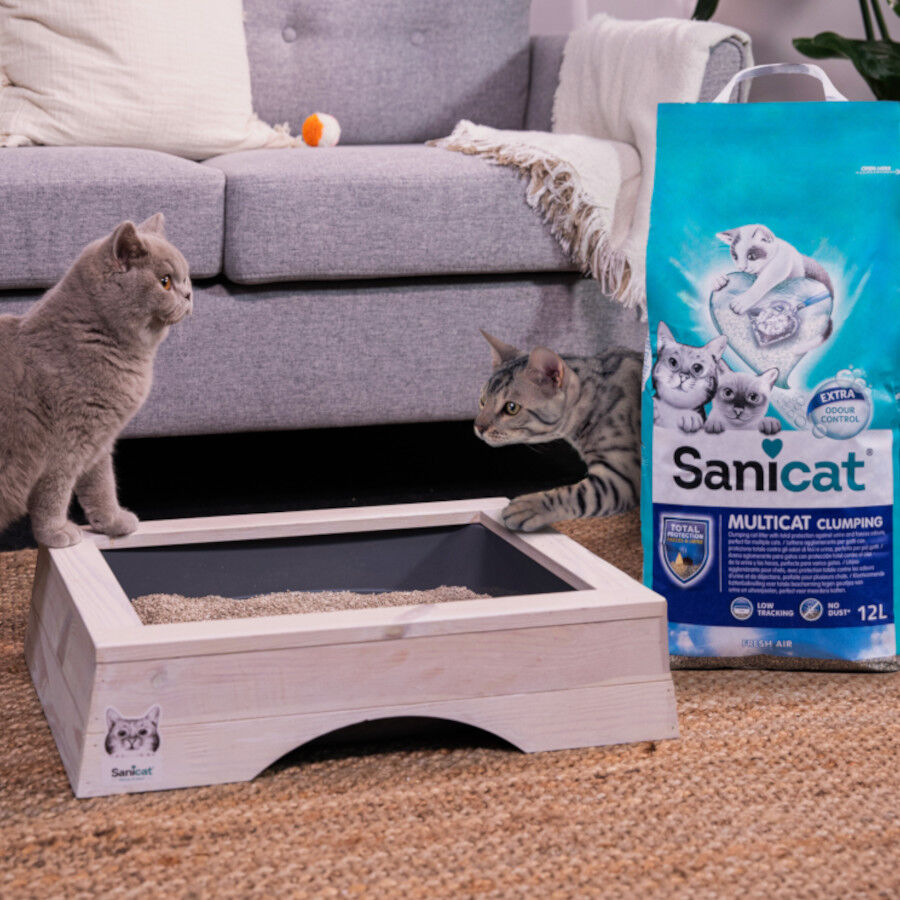 12 L Sanicat Multicat Cumpling Areia Fresh Air para gatos, , large Imagem n&uacute;mero 5