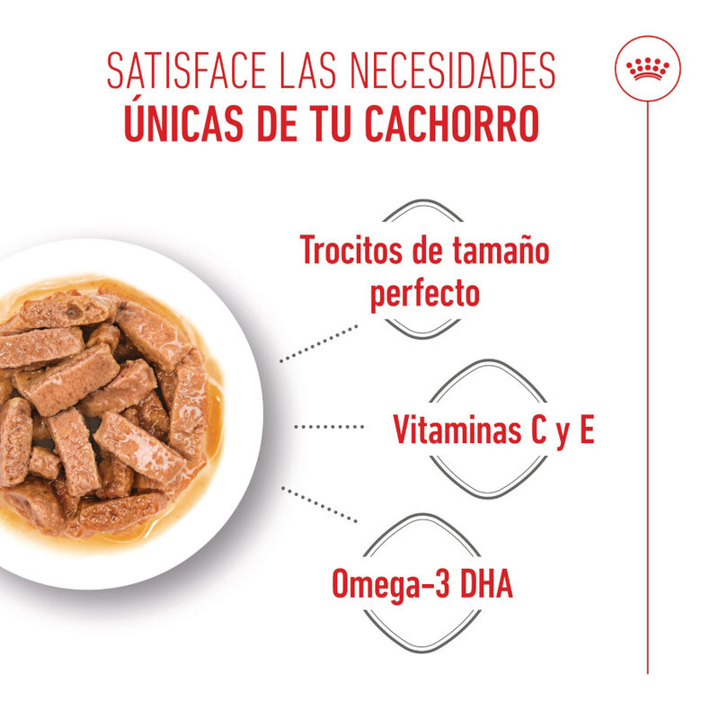 140 g Royal Canin Maxi Puppy Alimento húmido para cães,  Imagem número 4 140 g Royal Canin Maxi Puppy Alimento húmido para cães, , large Imagem número 4