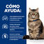 12 saquetas x 85 g Hill's Prescription Diet Feline GI Biome Digestive Care Frango e Legumes em molho Saqueta, , large Indicador imagem número 3