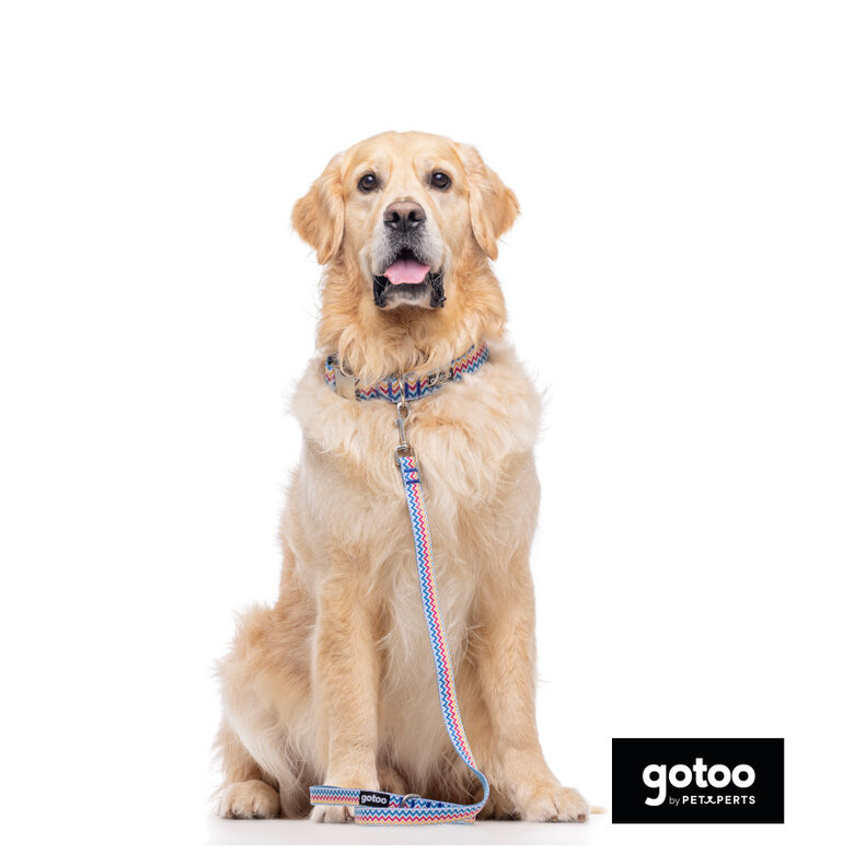Gotoo Coleira estampada colorida para cães,  Imagem número 4 Gotoo Coleira estampada colorida para cães, , large Imagem número 4