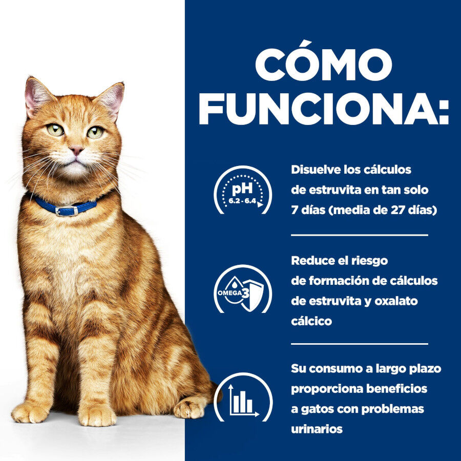 8 kg Hill's Prescription Diet Urinary Care Frango ra&ccedil;&atilde;o para gatos, , large Imagem n&uacute;mero 5