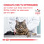 12 saquetas x 85 g Royal Canin Veterinary Urinary Moderate Calorie ração para gatos, , large Indicador imagem número 9