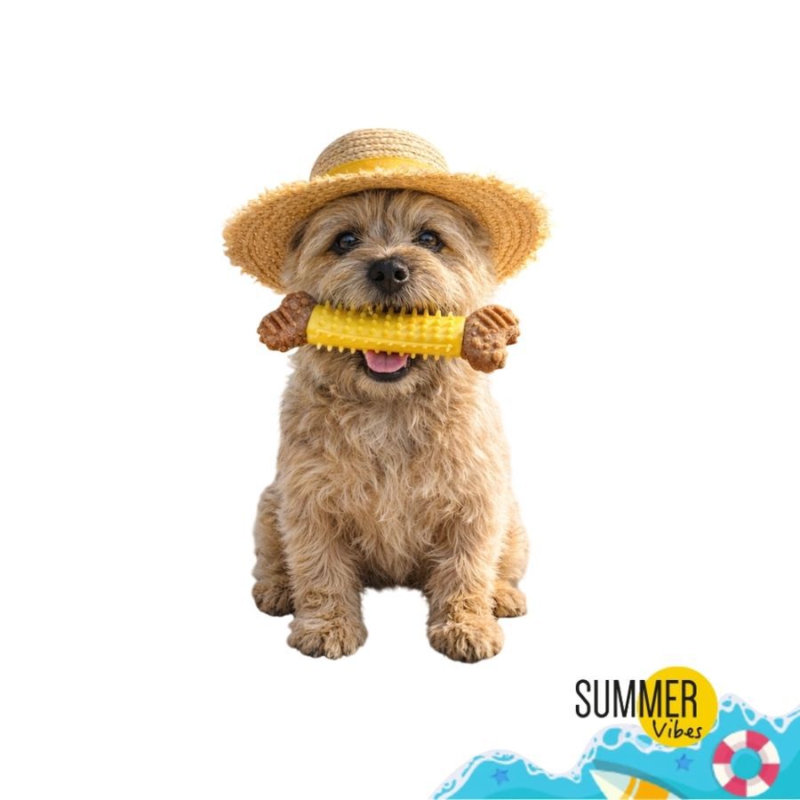 Summer Vibes Chew Bone Mordedor em Formato de Osso para c&atilde;es, , large Imagem n&uacute;mero 7