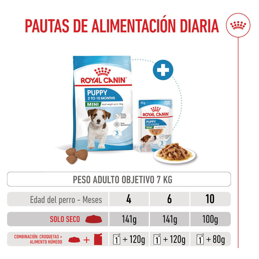 4 kg Royal Canin Mini Puppy ra&ccedil;&atilde;o para c&atilde;es, , large Imagem n&uacute;mero 8