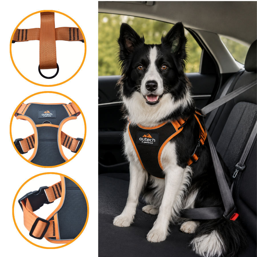 Outech X-perience Arn&ecirc;s de Carro para c&atilde;es, , large Imagem n&uacute;mero 3