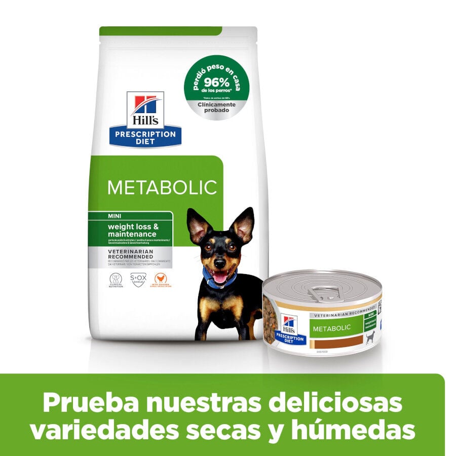 6 kg Hill's Prescription Diet Metabolic Mini Weight Loss ra&ccedil;&atilde;o para c&atilde;es, , large Imagem n&uacute;mero 9