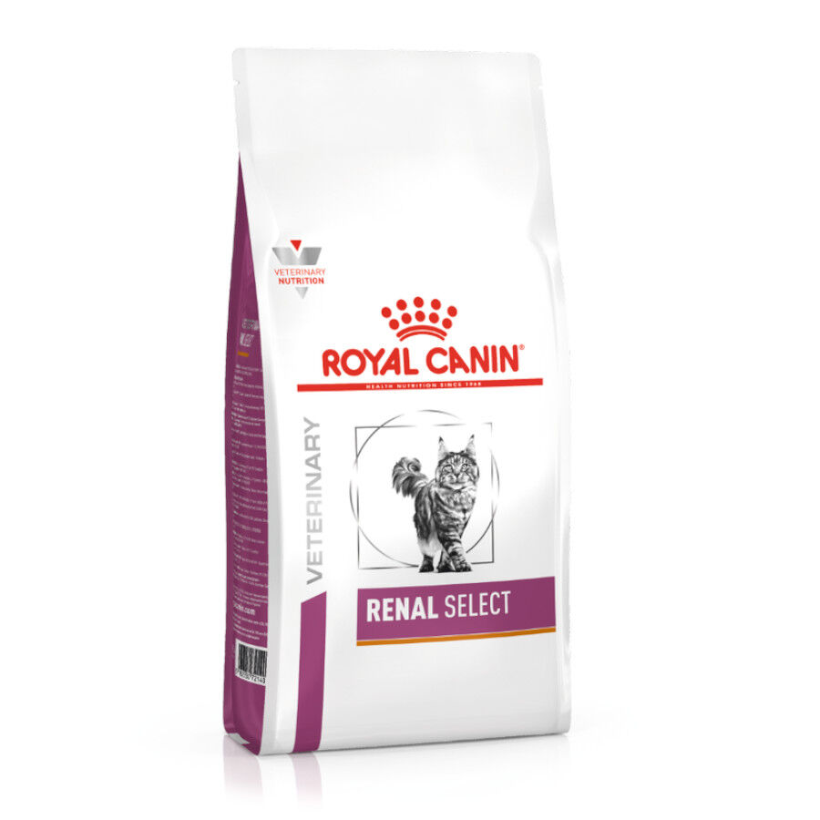 4 kg Royal Canin Veterinary Renal Select ra&ccedil;&atilde;o para gatos , , large Imagem n&uacute;mero 2