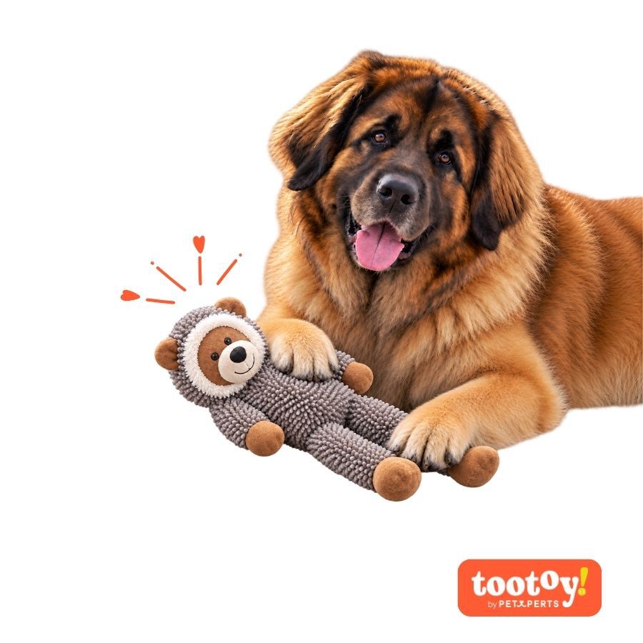 Tootoy! Comfort Jumbo Racoon Peluche para c&atilde;o, , large Imagem n&uacute;mero 7