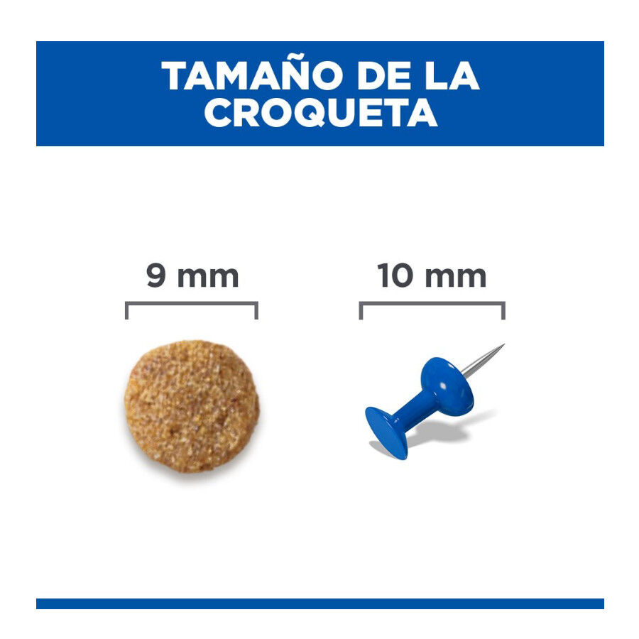 7 kg Hill's Science Plan Adult Ra&ccedil;&atilde;o de salm&atilde;o para gatos, , large Imagem n&uacute;mero 9