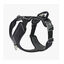 Dog Copenhagen Comfort Walk Pro Peitoral Preto para cães, , large Indicador imagem número 1