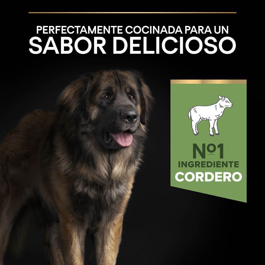 14 kg Pro Plan Adult Large Robust Digest&atilde;o Cordeiro ra&ccedil;&atilde;o para c&atilde;es, , large Imagem n&uacute;mero 7