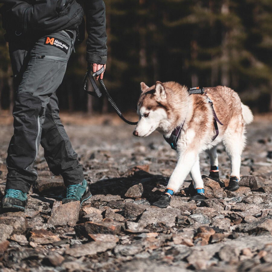 Non-stop dogwear Bota protetora preta e laranja para c&atilde;es, , large Imagem n&uacute;mero 6