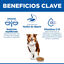 363 g Hill's Science Plan Mature Comida h&uacute;mida para c&atilde;es s&eacute;niores, , large Indicador imagem n&uacute;mero 4