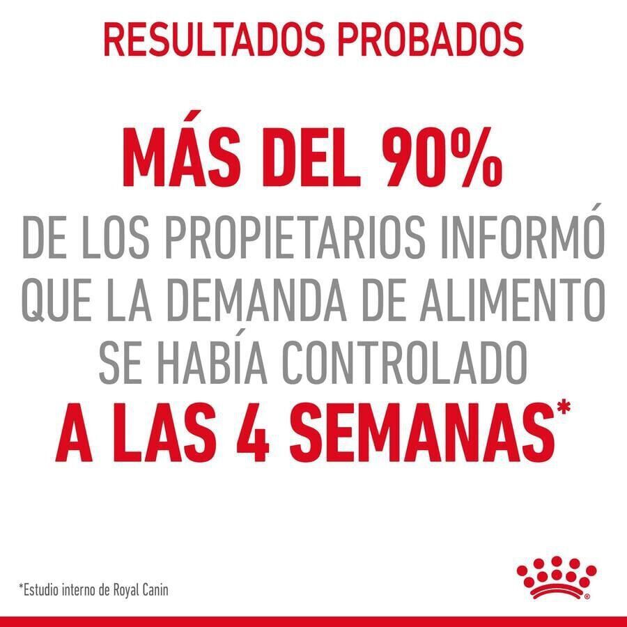 400 g Royal Canin Appetite Control Care ra&ccedil;&atilde;o para gatos , , large Imagem n&uacute;mero 5