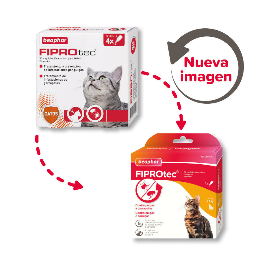 Beaphar Firprotec Pipetas antiparasit&aacute;rias para gatos, , large Imagem n&uacute;mero 2