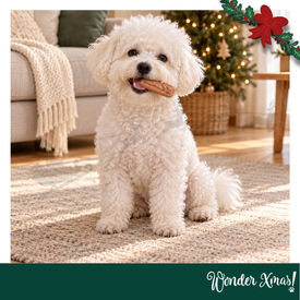 Wonder Christmas Salsichas de Frango Snacks para C&atilde;es