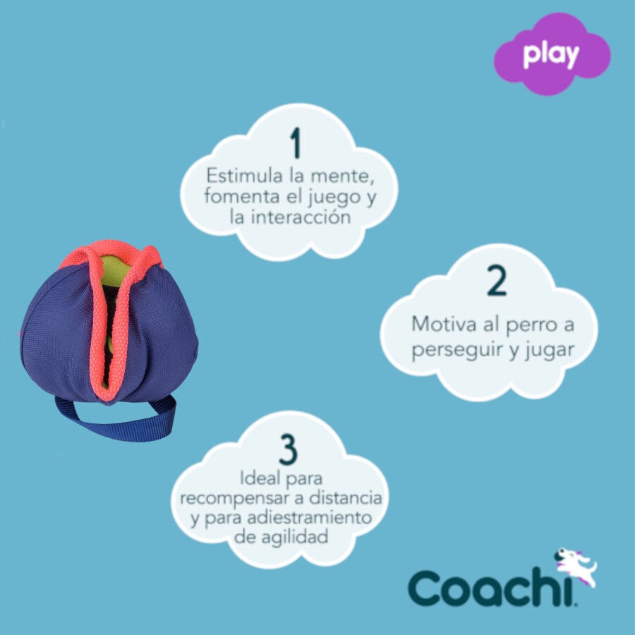 Coachi Brinquedo dispensador de recompensas para c&atilde;es, , large Imagem n&uacute;mero 2