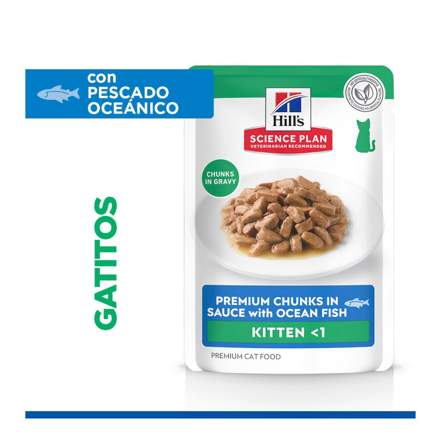 85 g Hill's Kitten Science Plan Peixe Azul saqueta em molho, , large Imagem n&uacute;mero 3