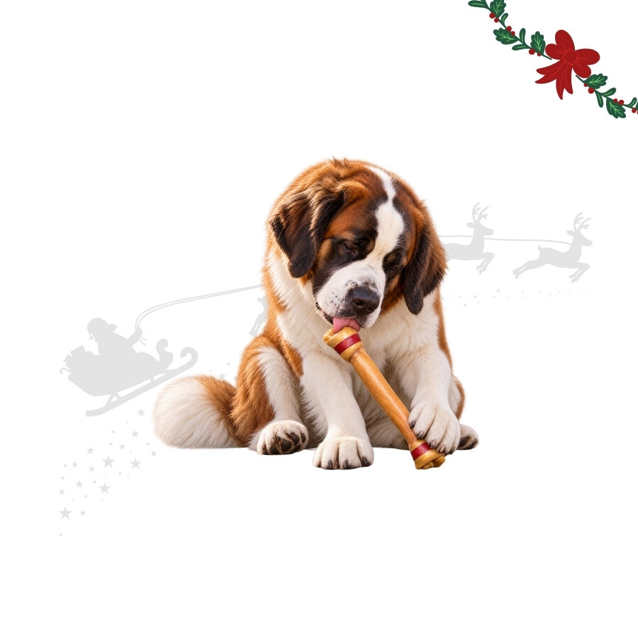 1 un. Wonder Christmas Osso Gigante de Couro Prensado Snacks para C&atilde;es, , large Imagem n&uacute;mero 1