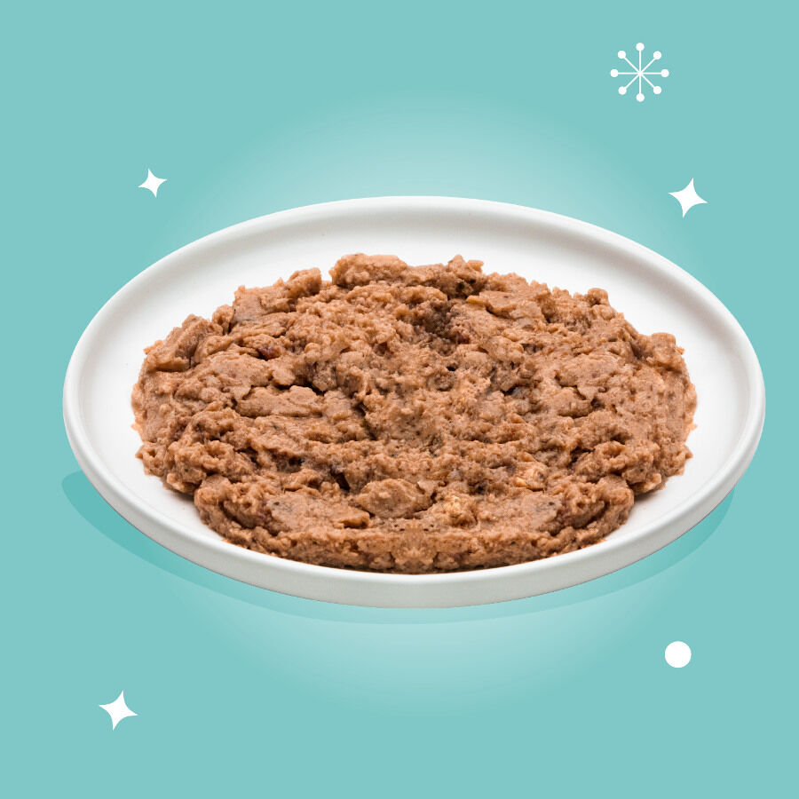 85 g Edgard & Cooper Festive Alimento h&uacute;mido de pato em terrina para gatos , , large Imagem n&uacute;mero 3