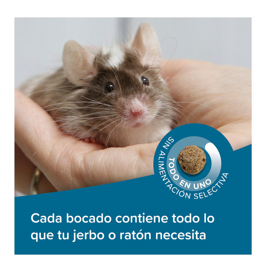 Beaphar Care+ Alimento para ratos e gerbilos, , large Imagem n&uacute;mero 4
