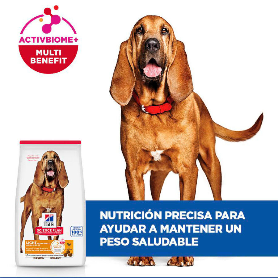 12 kg Hill's Science Plan Light Mature Adult 7+ Medium Frango ra&ccedil;&atilde;o para c&atilde;es, , large Imagem n&uacute;mero 4