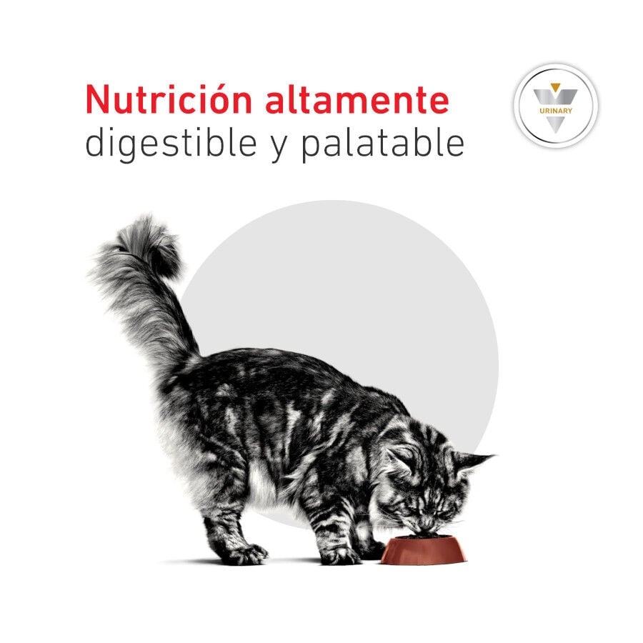 1.5 kg Royal Canin Veterinary Urinary S/O Moderate Calorie ra&ccedil;&atilde;o para gatos, , large Imagem n&uacute;mero 9