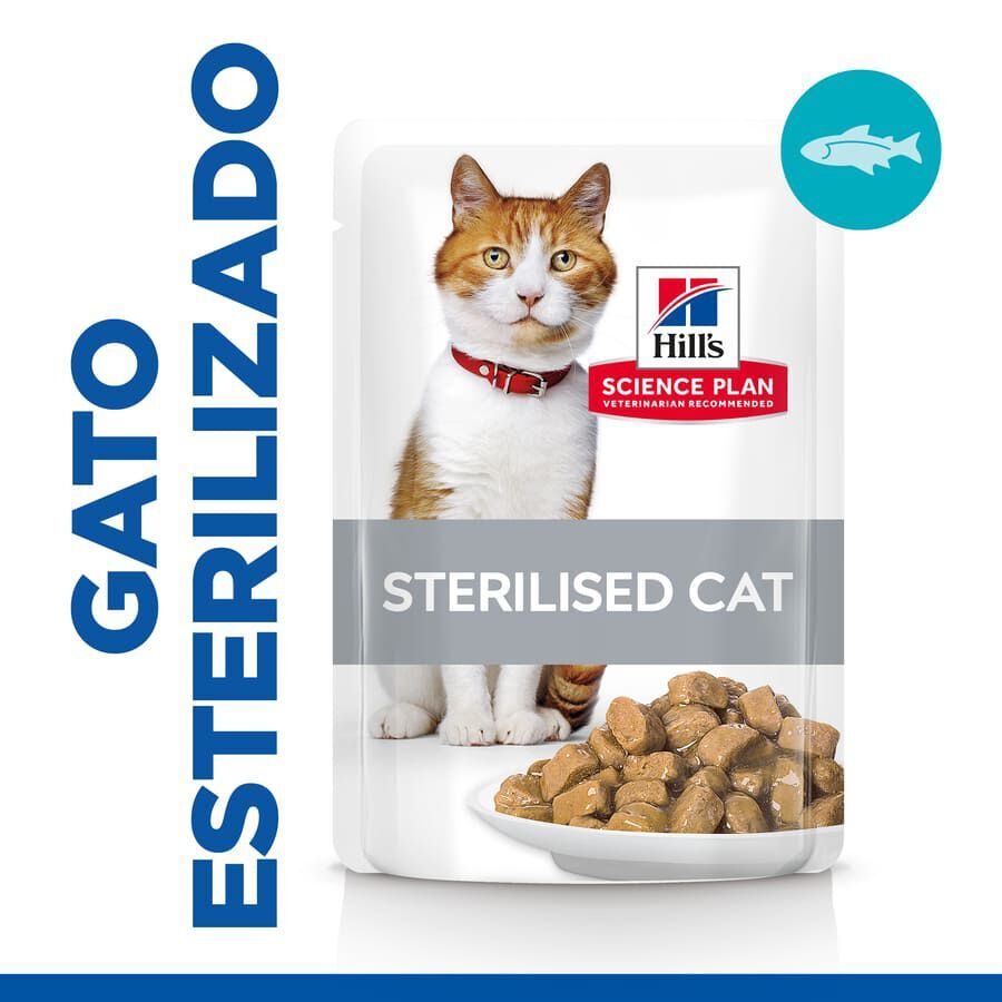 85 g Hill's Young Adult Science Plan Sterilised Truta Saqueta em Molho para gatos, , large Imagem n&uacute;mero 2