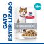 85 g Hill's Young Adult Science Plan Sterilised Truta Saqueta em Molho para gatos, , large Indicador imagem número 2
