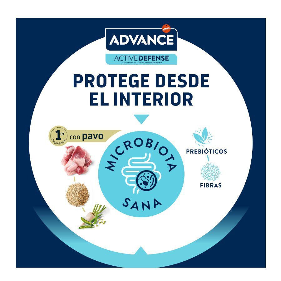 10 kg Advance Active Defense Sensitive Sterilized Salm&atilde;o e Cevada ra&ccedil;&atilde;o para gatos, , large Imagem n&uacute;mero 6