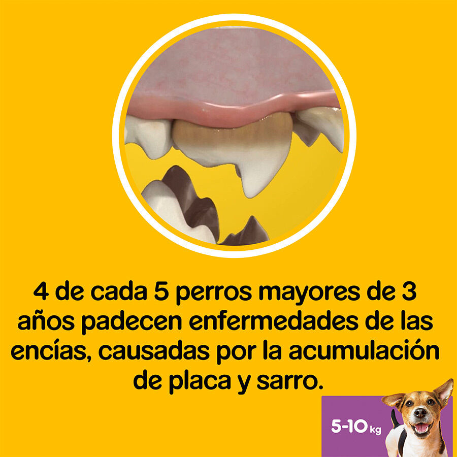 28 sticks Pedigree Dentastix Fresh Snacks Dent&aacute;rios para C&atilde;es Pequenos, , large Imagem n&uacute;mero 7