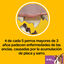 28 sticks Pedigree Dentastix Fresh Snacks Dentários para Cães Pequenos, , large Indicador imagem número 7