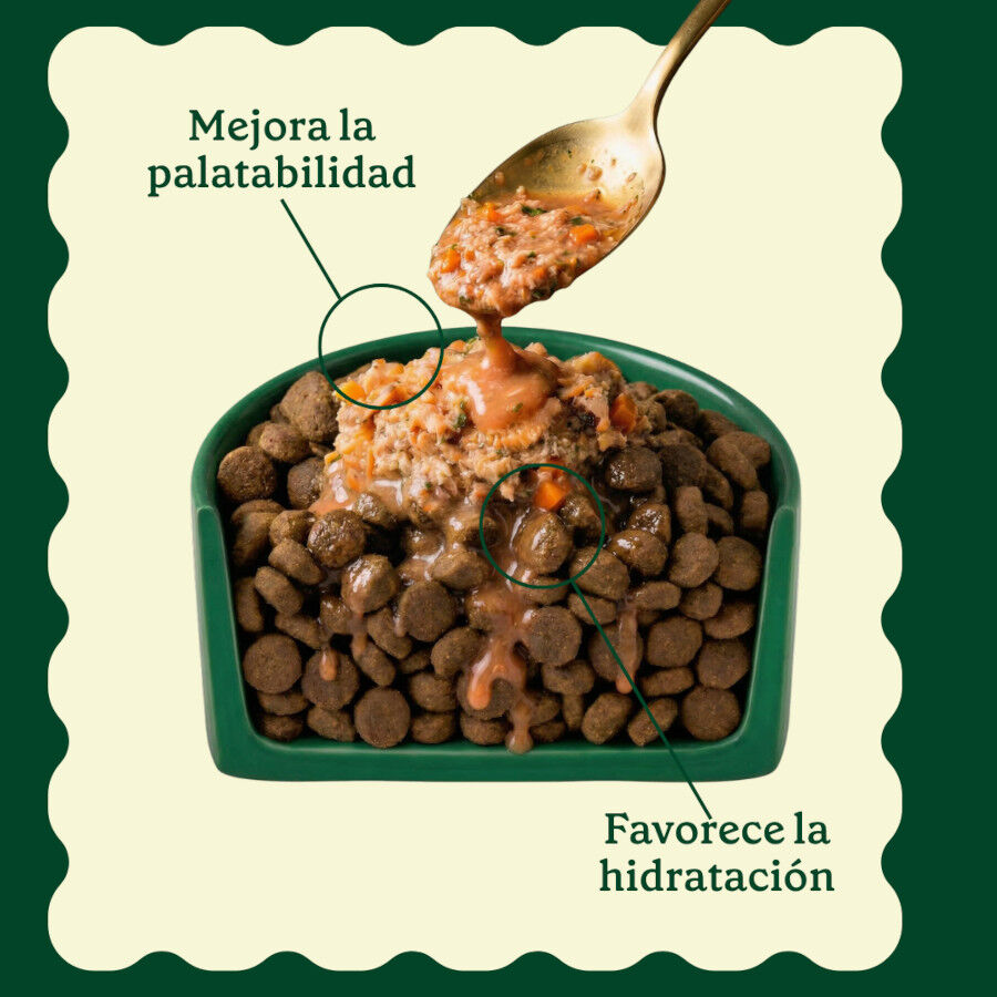 85 g Wild Balance Toppers Salm&oacute;n salsa para perros, , large Imagem n&uacute;mero 7