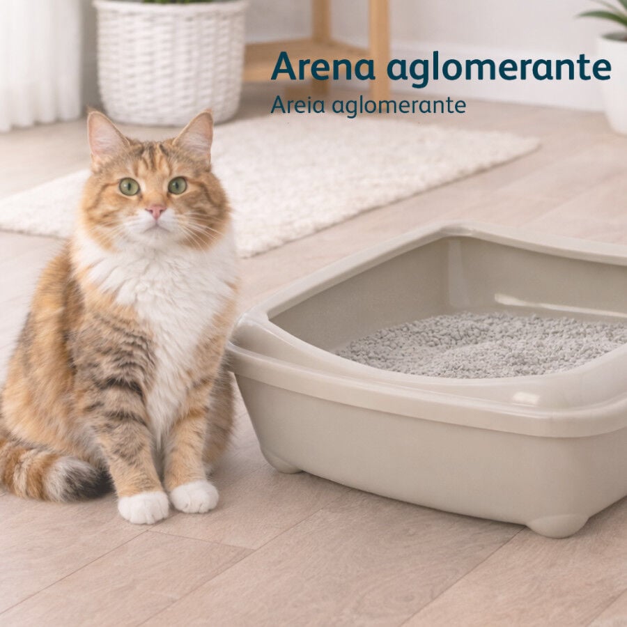 10 L Nova Clean Marselha Areia Aglomerante para gatos, , large Imagem n&uacute;mero 5