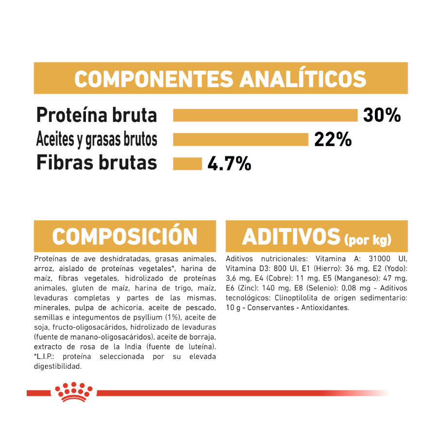 10 kg Royal Canin Persa ra&ccedil;&atilde;o para gatos adultos, , large Imagem n&uacute;mero 7