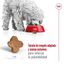 8 kg Royal Canin Mini 8+ Adult ração para cães, , large Indicador imagem número 7