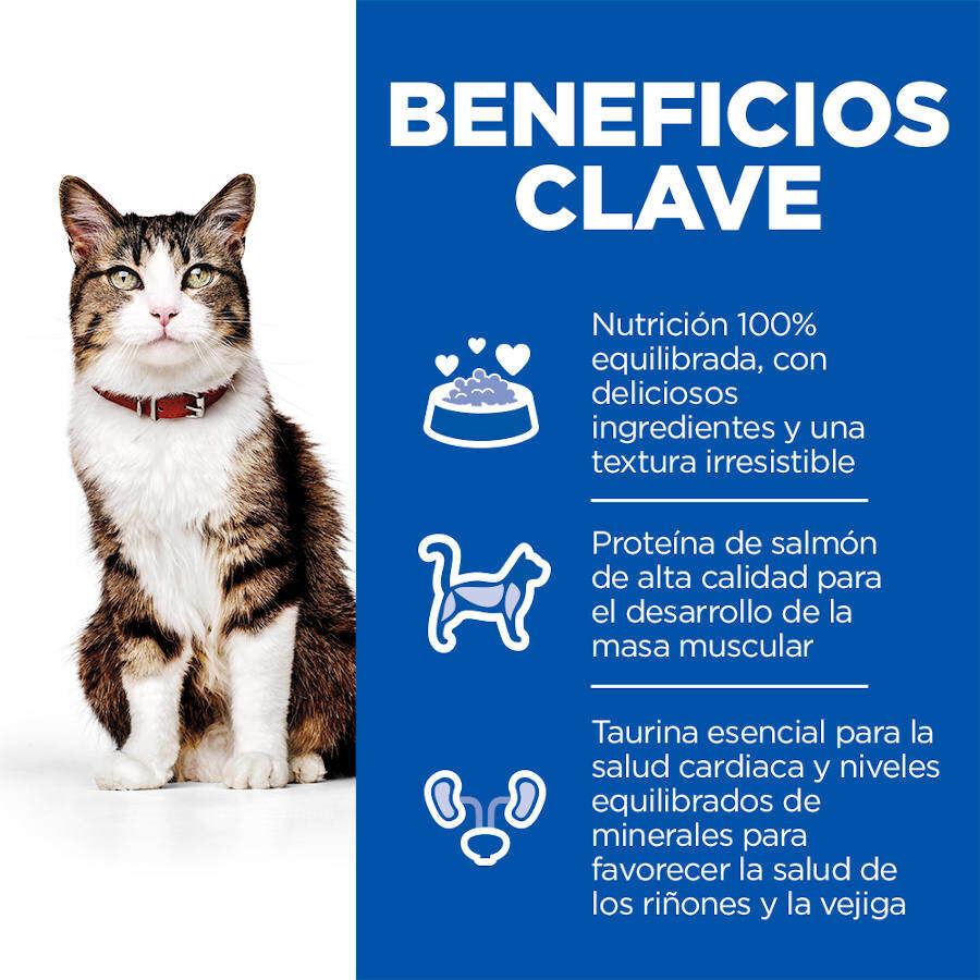 10 kg Hill's Science Plan Culinary Creations Ra&ccedil;&atilde;o de salm&atilde;o e cenoura para gatos, , large Imagem n&uacute;mero 5