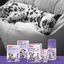 Beaphar No-Stress Difusor e Recarga Anti Stress para cães, , large Indicador imagem número 5