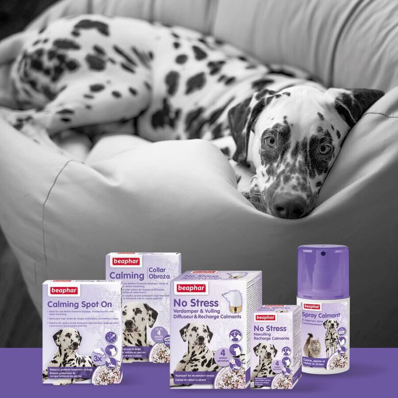 Beaphar No-Stress Difusor e Recarga Anti Stress para cães,  Imagem número 5 Beaphar No-Stress Difusor e Recarga Anti Stress para cães, , large Imagem número 5